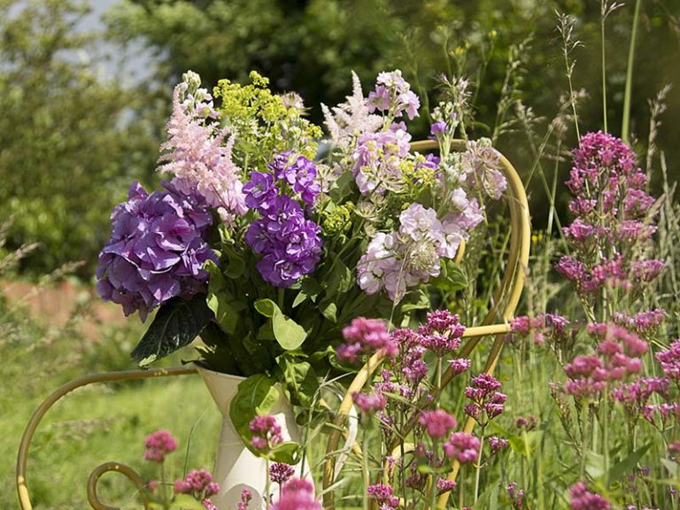 004.1 120622 Fullers Flowers 768x576