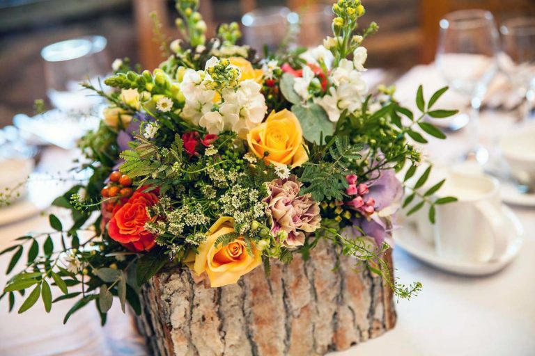 11055733 10153298200988375 138645981839346524 o 768x512