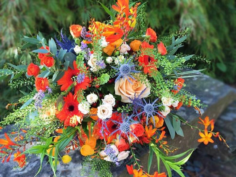 13876227 1001512263302759 4472724708586504754 n 768x576