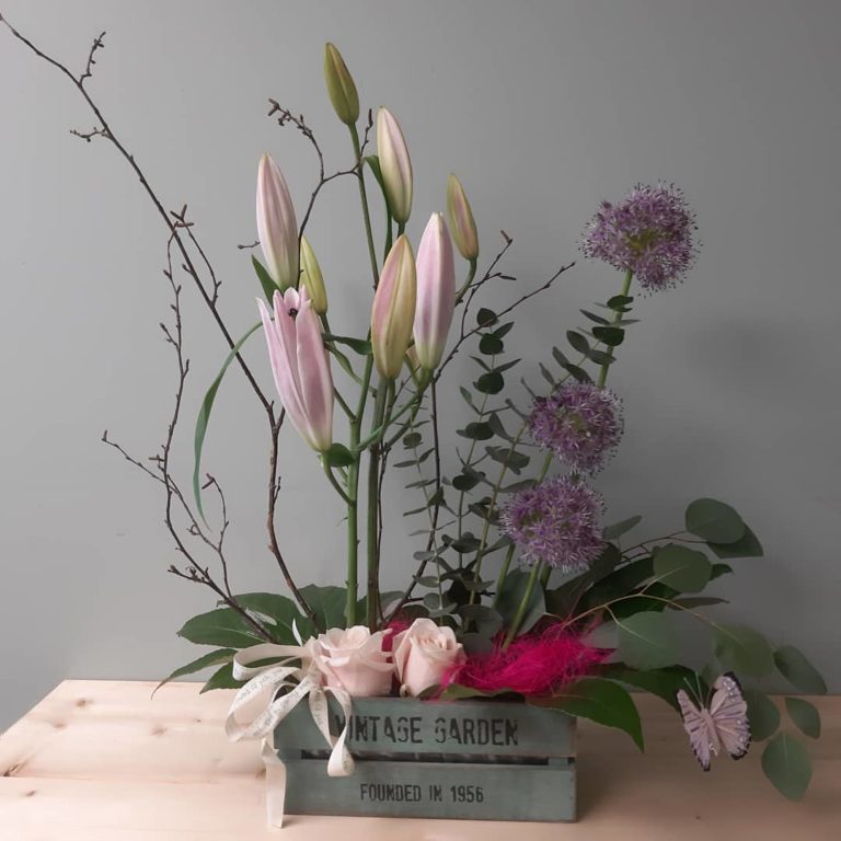 154887071 3750588988311464 1303518635192131443 n 768x768