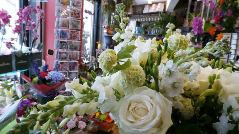 160526 2 W Zara Dalrymple scaled 1 768x432