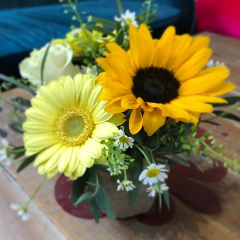 168797722 10158616226528037 577157056990723184 n 768x768