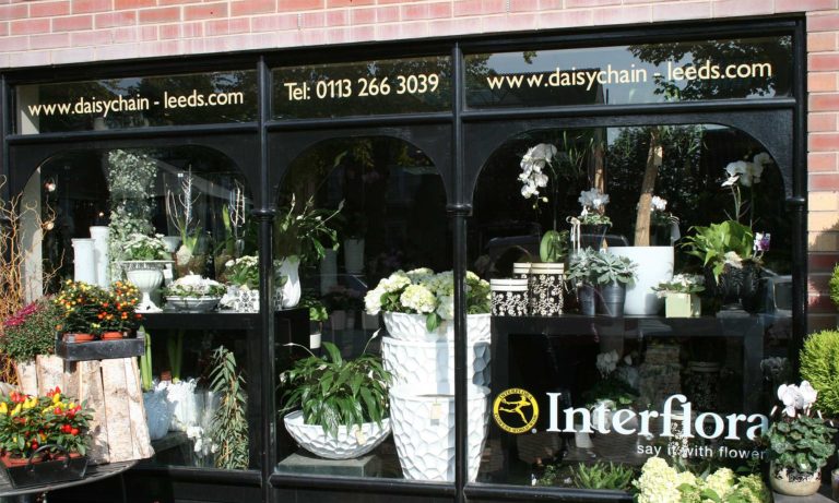 Daisy Chain GFG Cover Photo 768x461