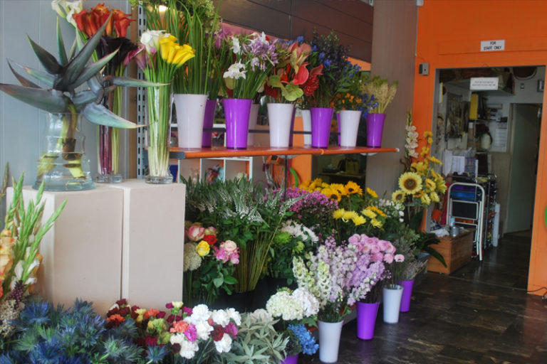 Flowerscene GFG Small 3 768x512