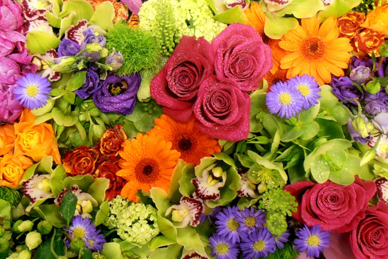 Flowertime Hero 768x512