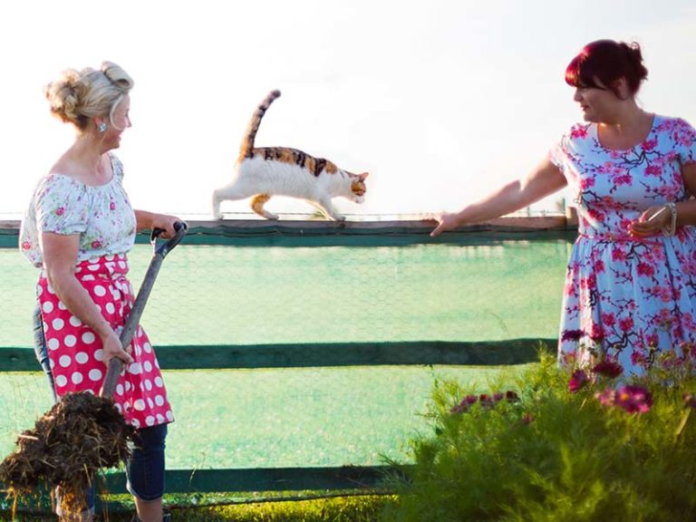 Fullers Flowers by Julia Cleaver 007 768x576