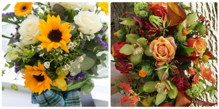 GFG Hero Collage 768x384