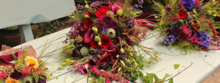 GFGsept2018Capture 768x292