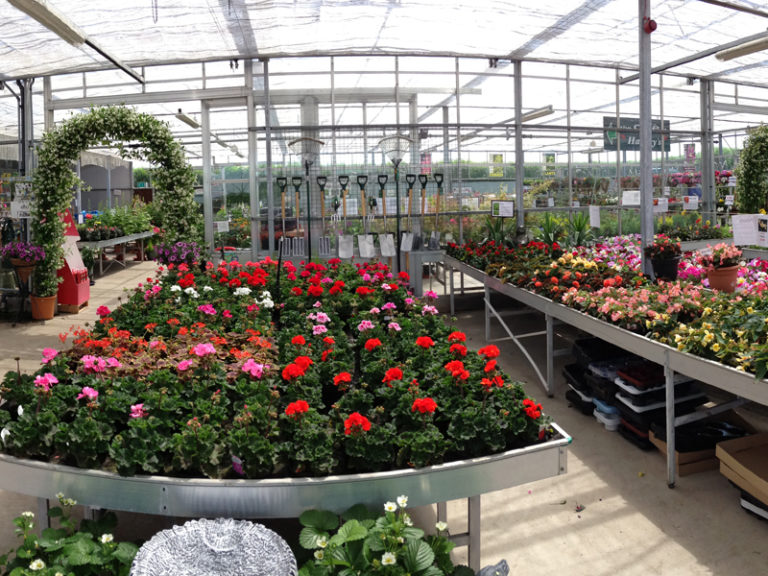Hartleys Nurseries GFG 4 768x576