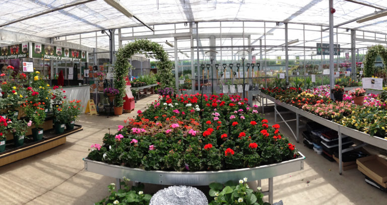 Hartleys Nurseries GFG Cover Photo 1 768x407