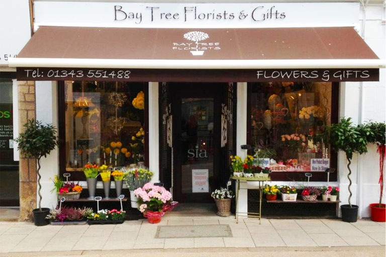 Hero Bay Tree Florists 1 1 768x512