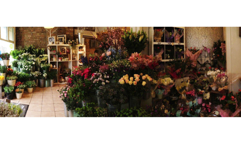 Oops a daisy GFG hero 768x461