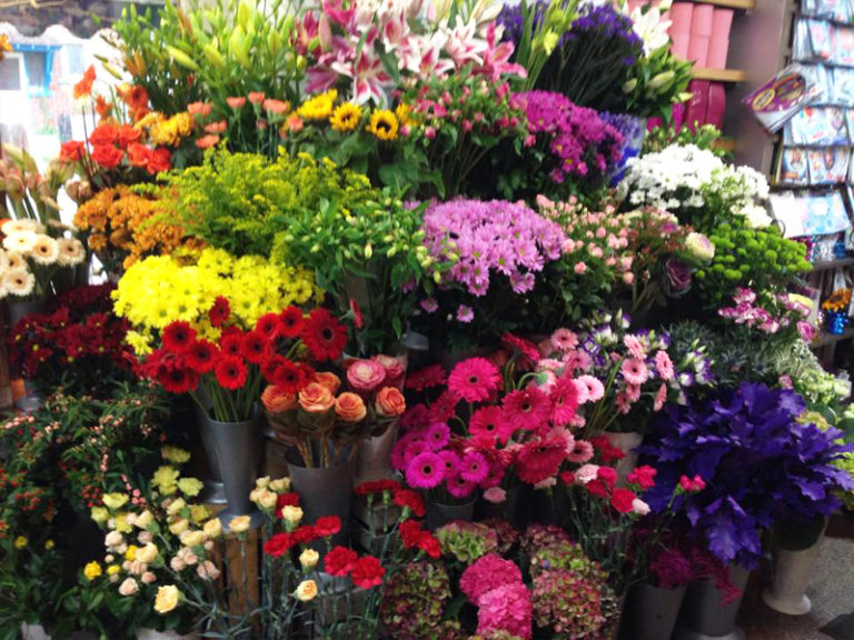 Plantation Florist GFG 2 768x576