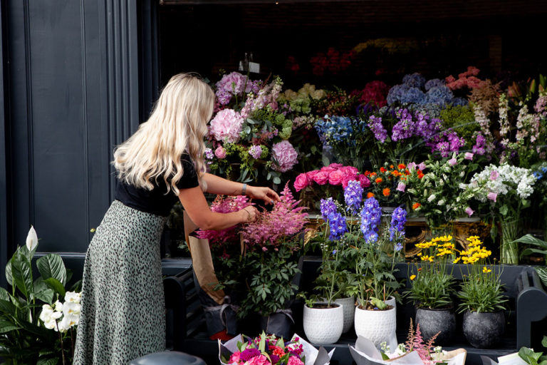 SF Main Image1 768x512