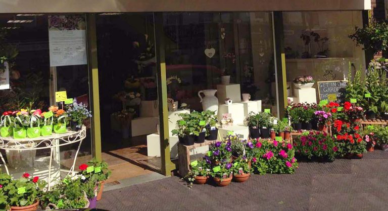 Shop Front 3 768x419