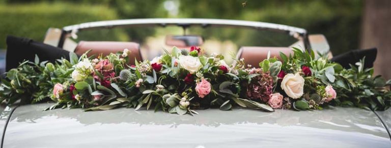 Sig Fl Bisc Hero 768x292