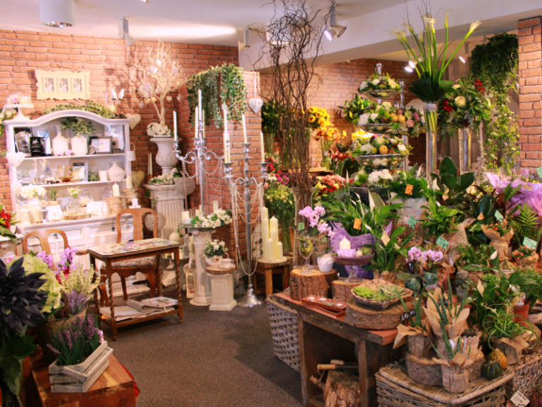 Something Special 2 768x576