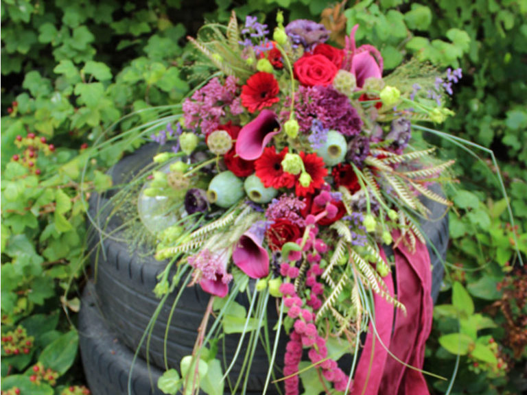 Something Special 6 768x576