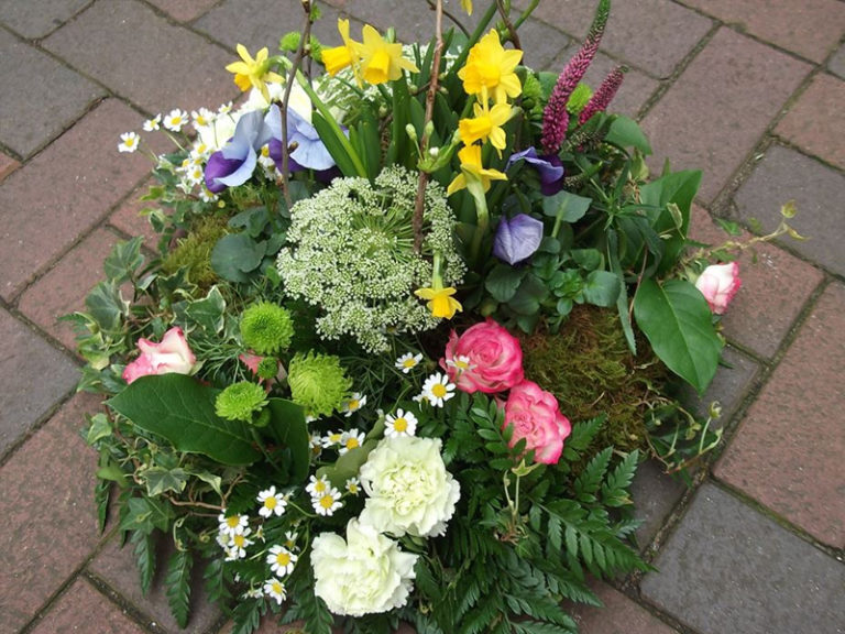 Stem by Stem GFG 2 768x576