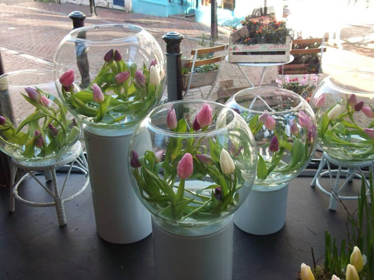 Stem by Stem GFG 5 768x576