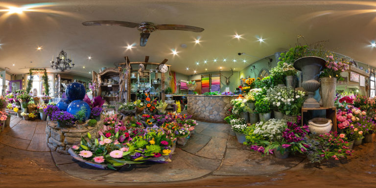 Sweet William 051 768x384