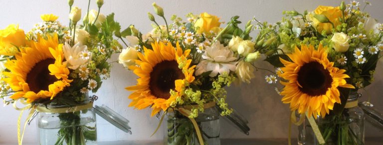 Willow Bloom Hero 1 768x292