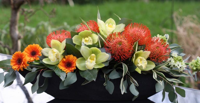 Willow cover image 768x398