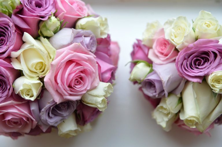 header new 768x511