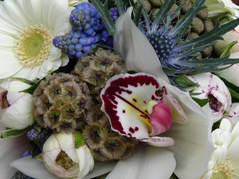 hero 70 scaled 1 768x576